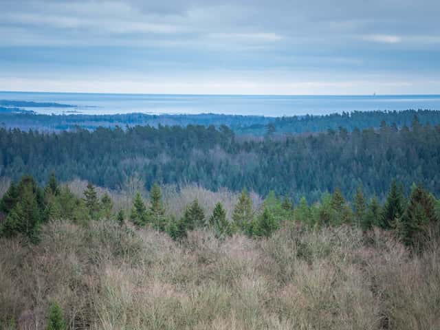 Skogsfastigheter i Blekinge län