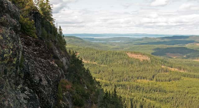 Skogsfastigheter i Gävleborgs län