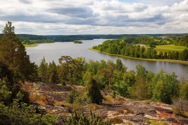 Skogsfastigheter i Östergötlands län