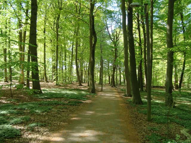Skogsfastigheter i Skåne län