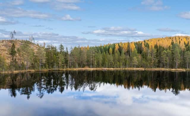 Skogsfastigheter i Västernorrlands län