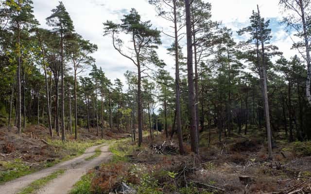Skogsfastigheter i Västra Götalands län